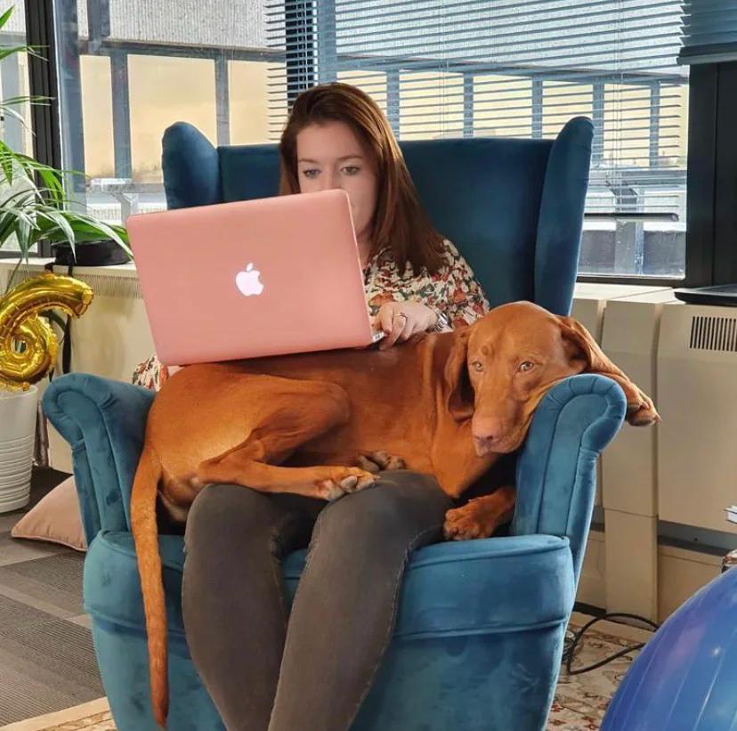 Carousel Work/Unwork Slide 3