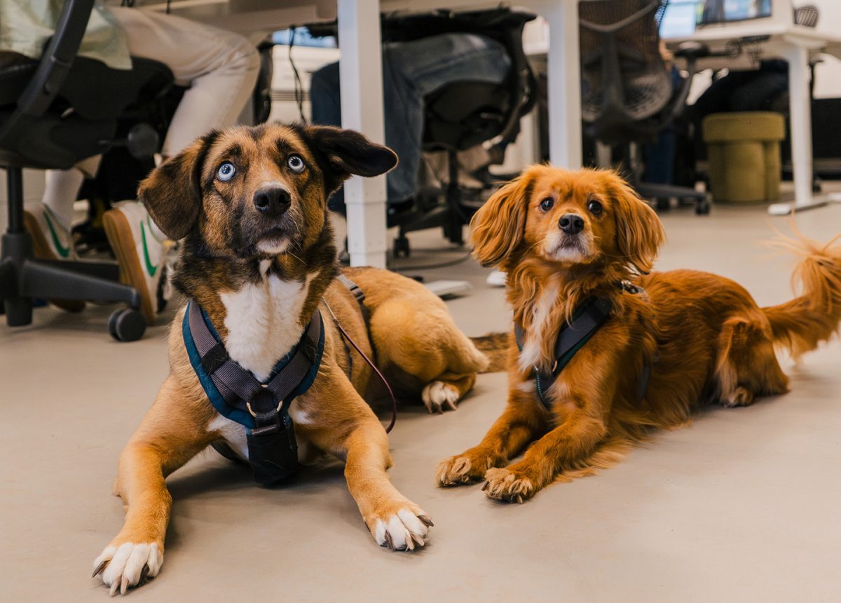 timetohire-werkenbij-slide_07